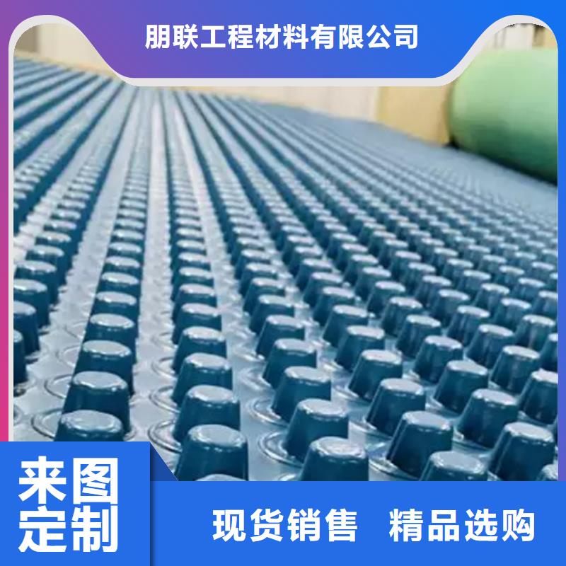 品牌【 排水板_ 植草格精致工艺】