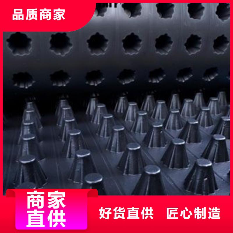 排水板化粪池水泥按需定制真材实料