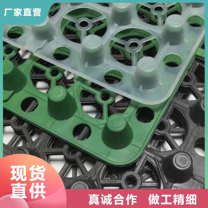 品牌【 排水板_ 植草格精致工艺】