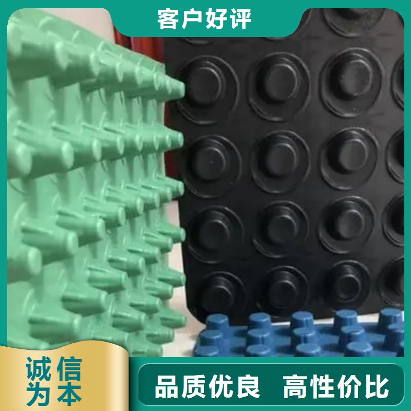 排水板植草格专业生产N年