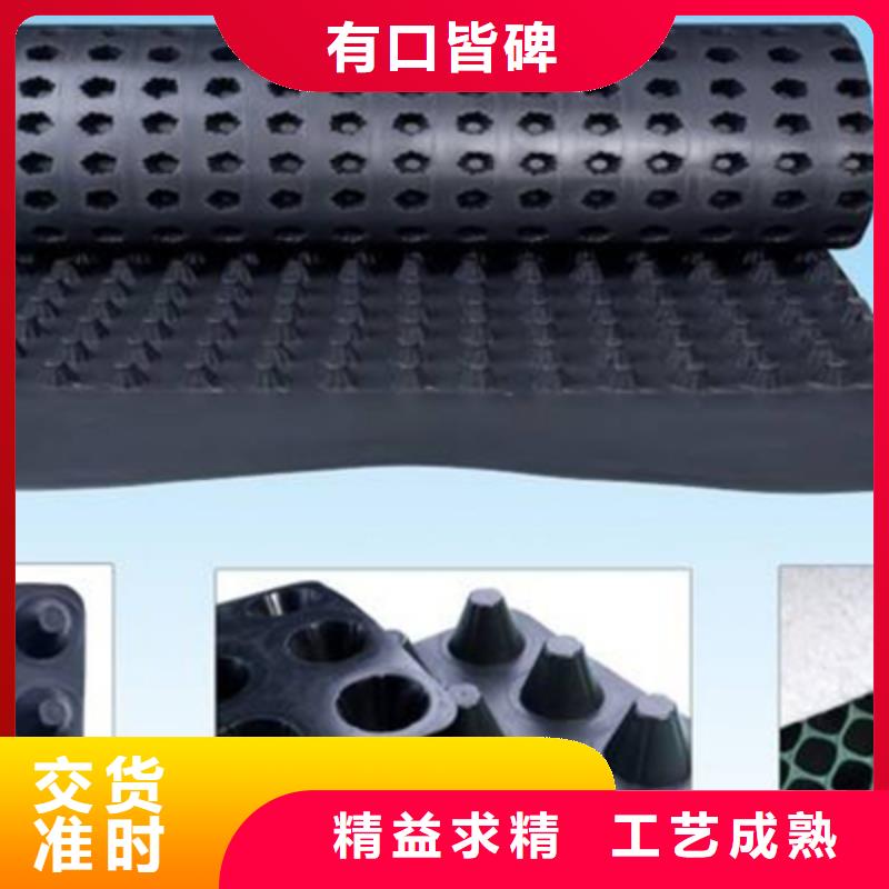 排水板防护虹吸排水收集系统自产自销