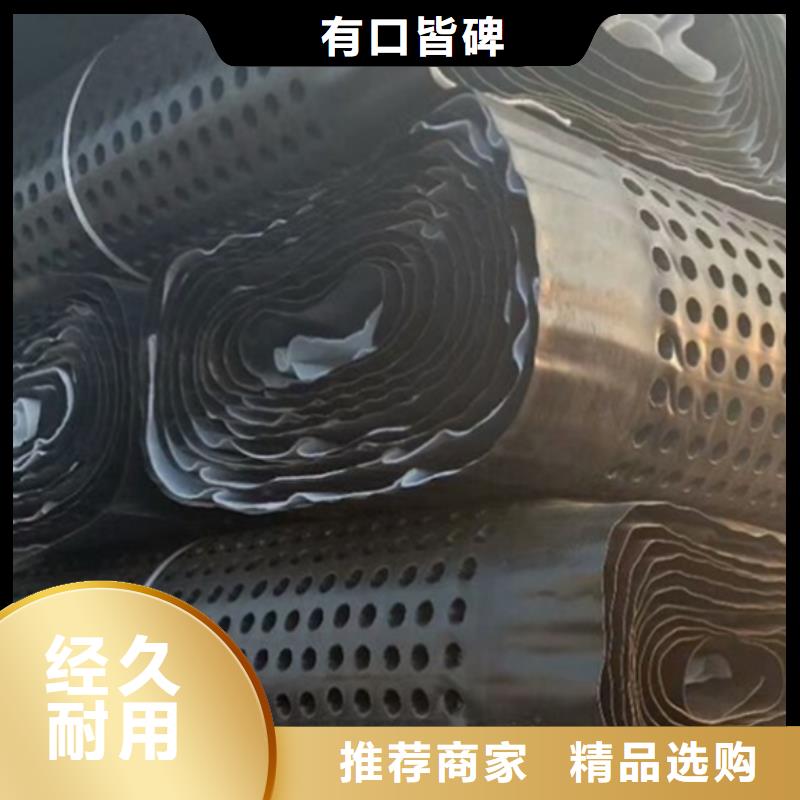 品牌【 排水板_ 植草格精致工艺】