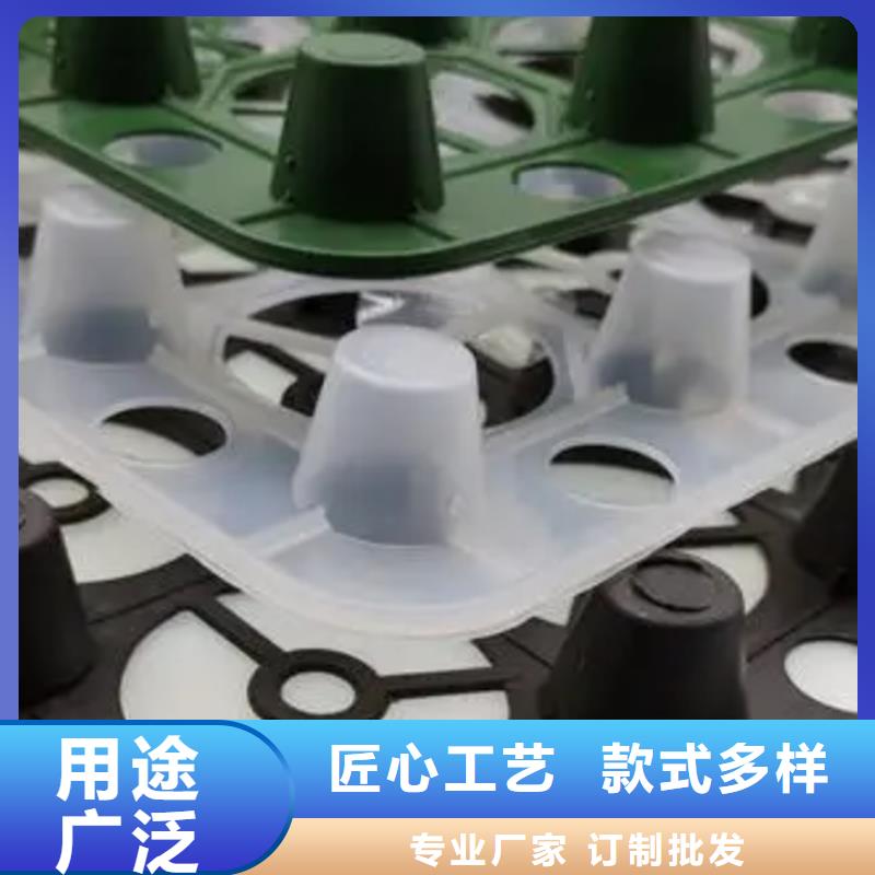 排水板水泥化粪池送货上门