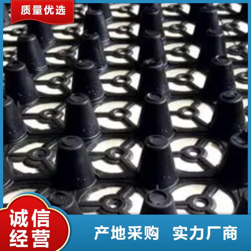排水板水泥化粪池自产自销