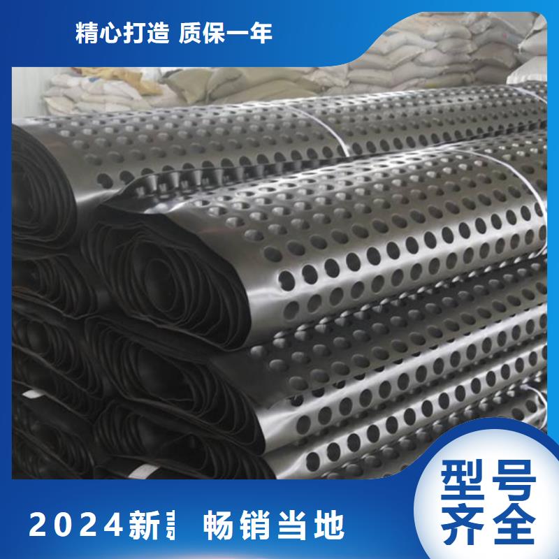 排水板防护虹吸排水收集系统自产自销