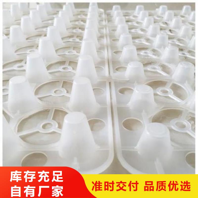 排水板防护虹吸排水收集系统自产自销