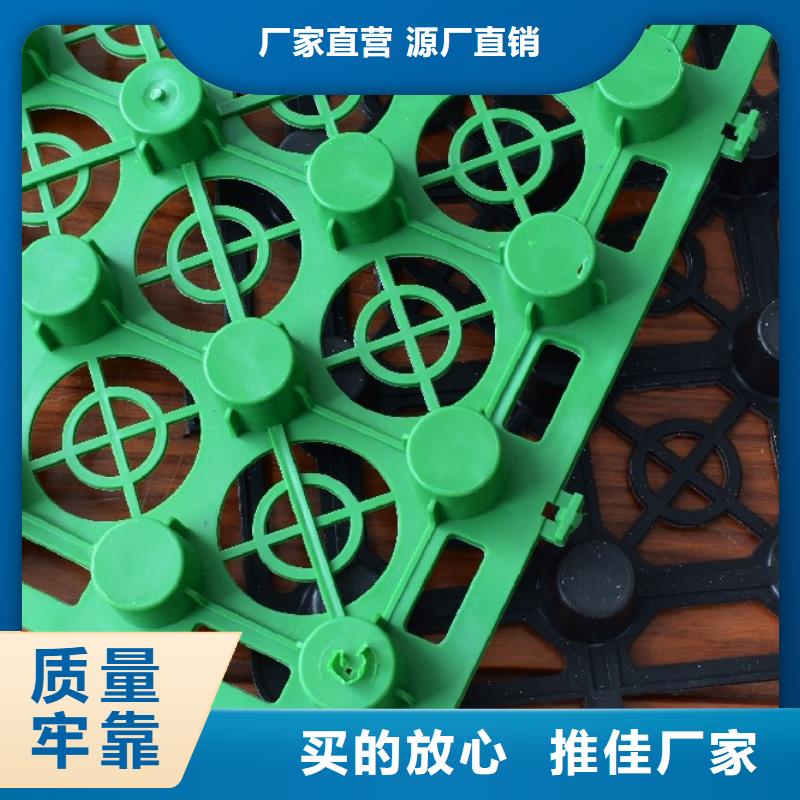 虹吸排水板直供厂家