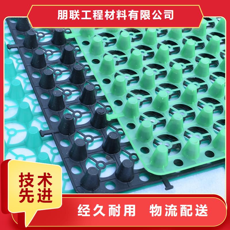 品牌【 排水板_ 植草格精致工艺】