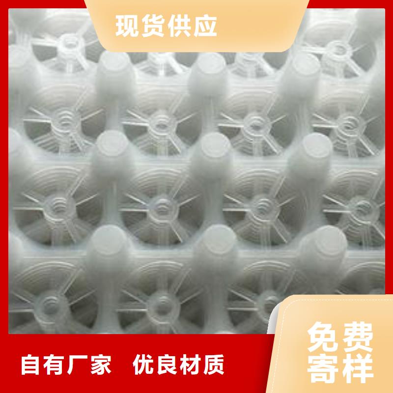 排水板水泥化粪池送货上门