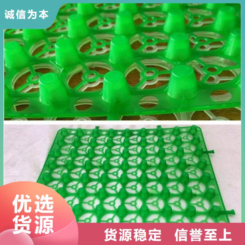 排水板 【 植草格】随心所欲定制 朋联工程材料(保山市分公司)