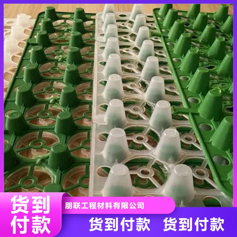 排水板量大从优
