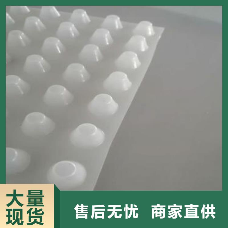 品牌【 排水板_ 植草格精致工艺】