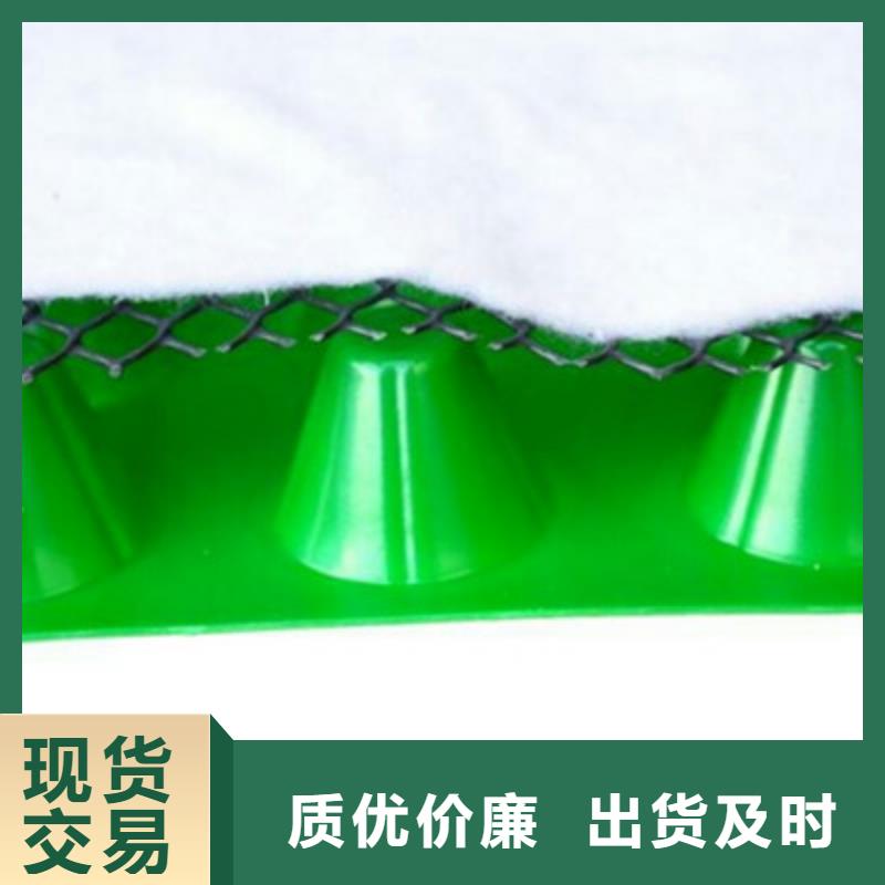 排水板化粪池水泥好产品放心购