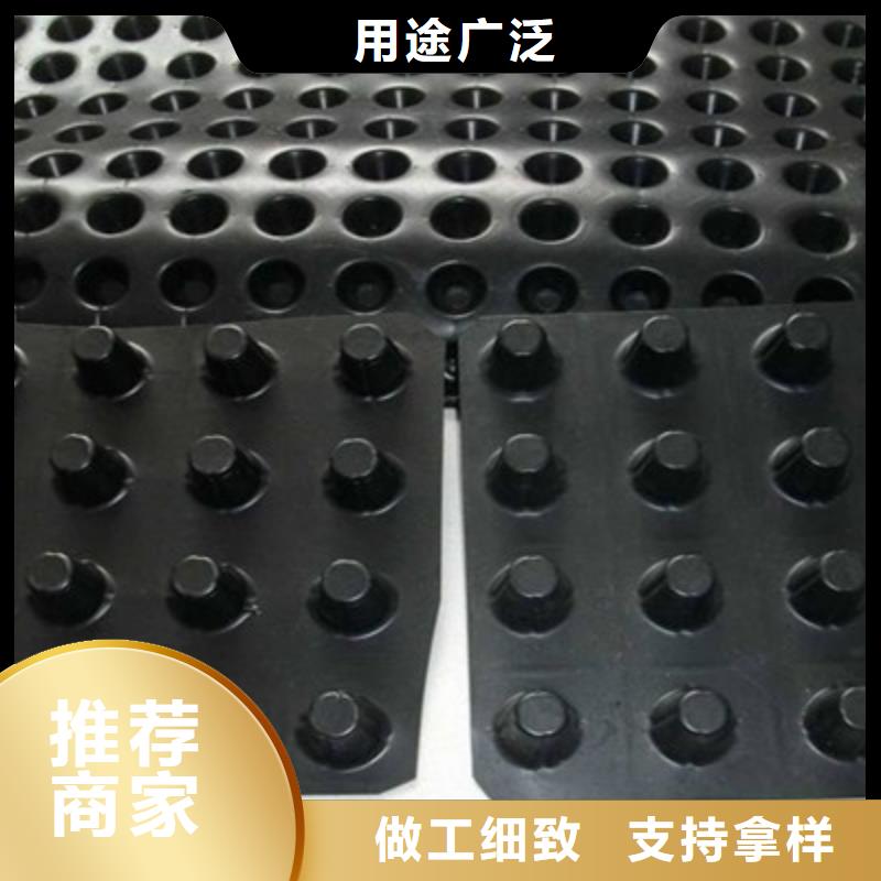 品牌【 排水板_ 植草格精致工艺】