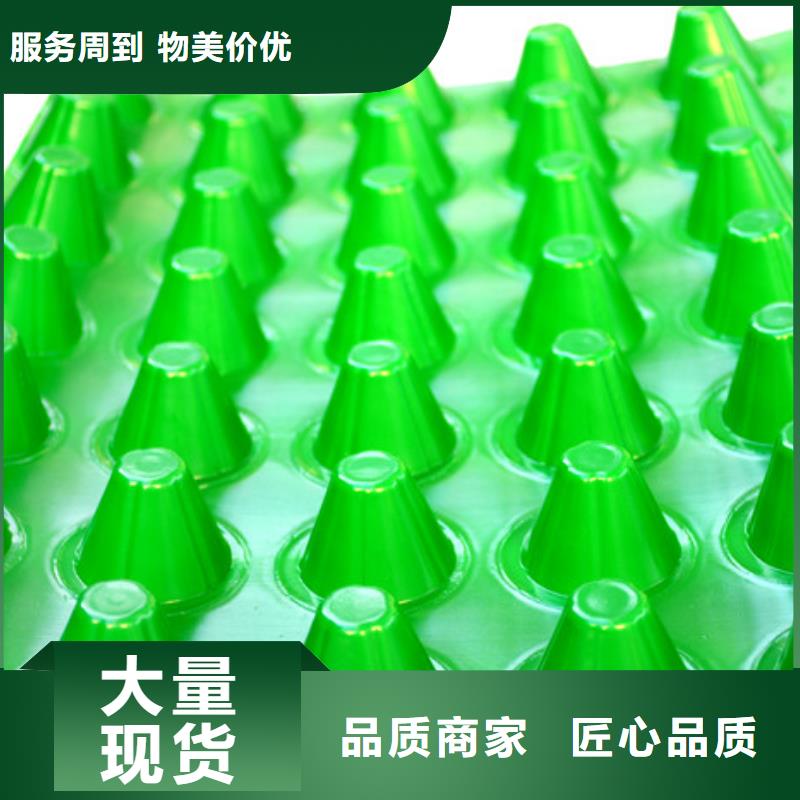 排水板水泥化粪池送货上门