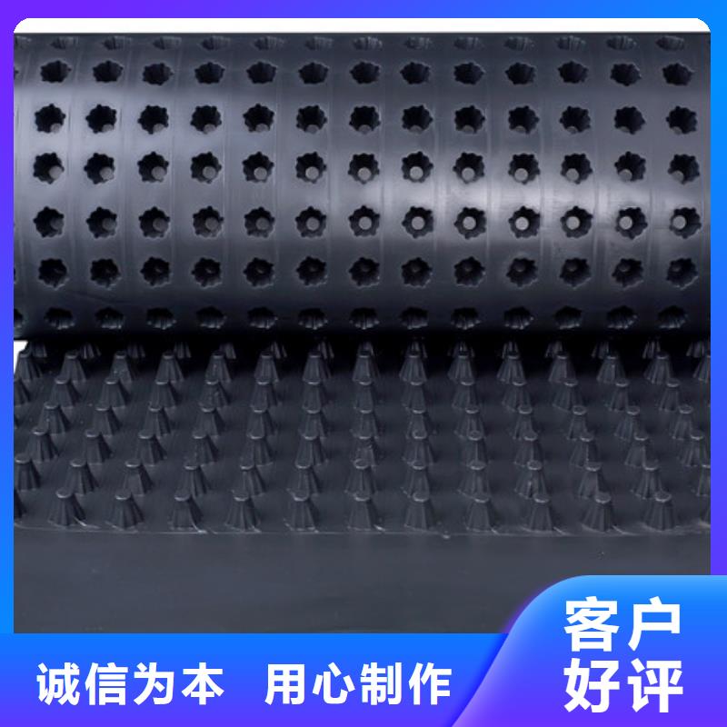 排水板植草格专业生产N年