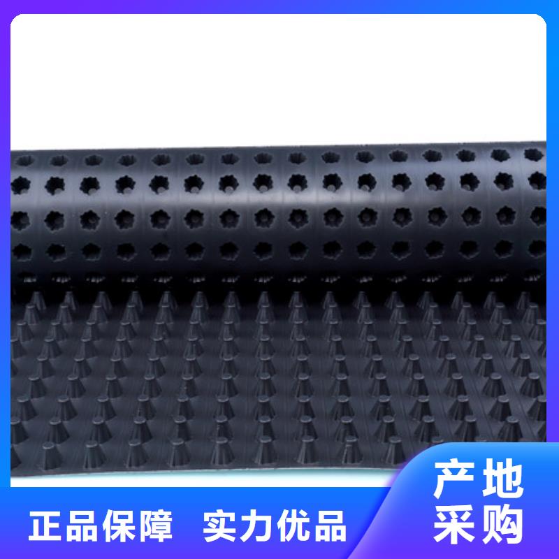 排水板厂家