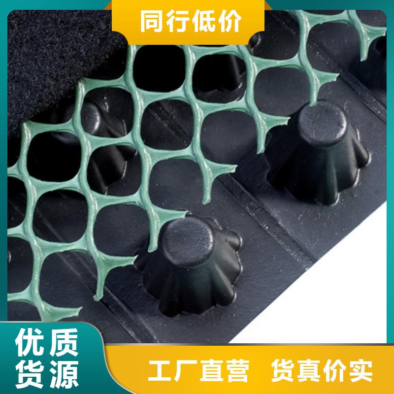 排水板水泥化粪池送货上门