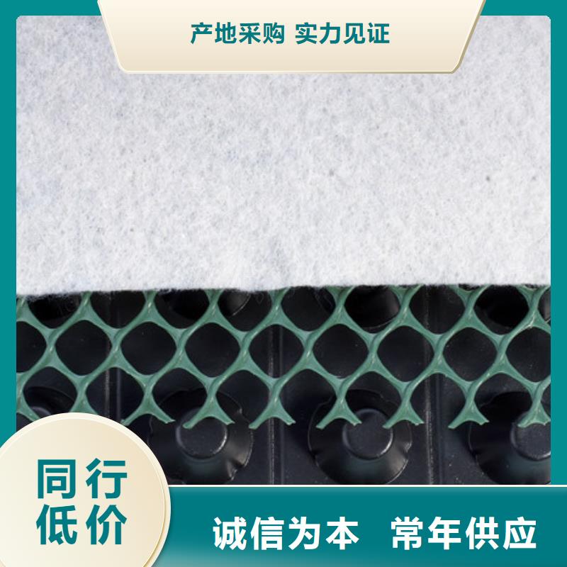 凹凸排水板厂家-批发价
