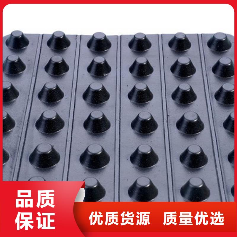 排水板植草格专业生产N年