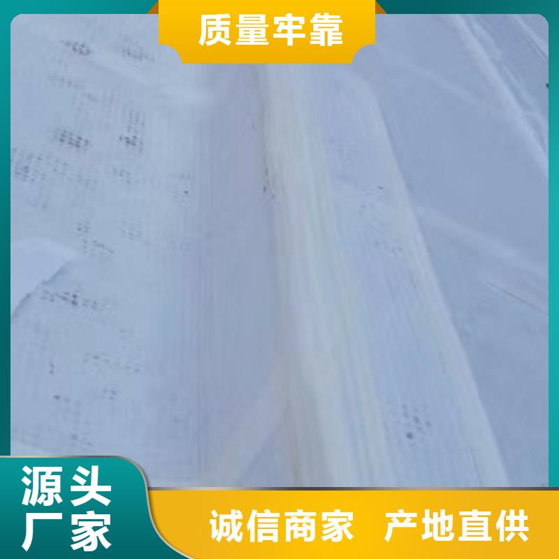 虹吸排水植草格产地直供