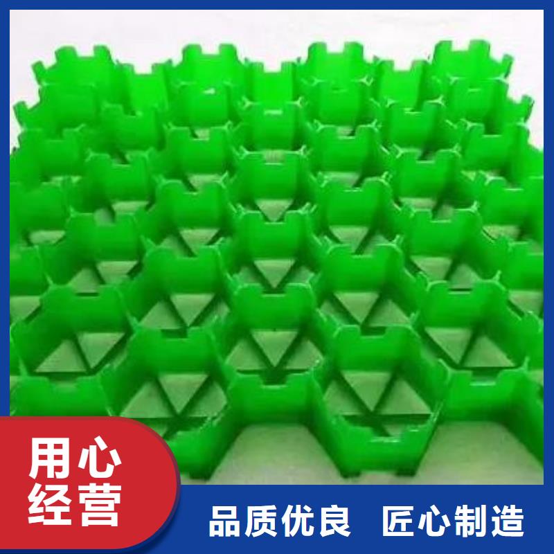 植草格-化粪池水泥商家