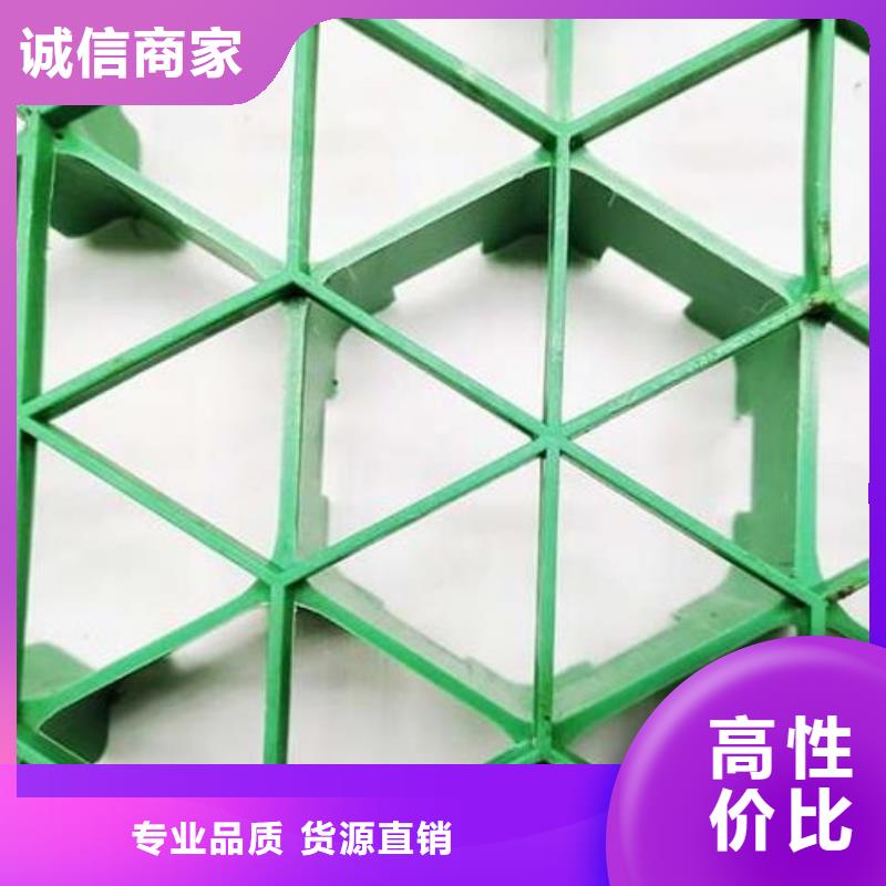 植草格厂家代理商