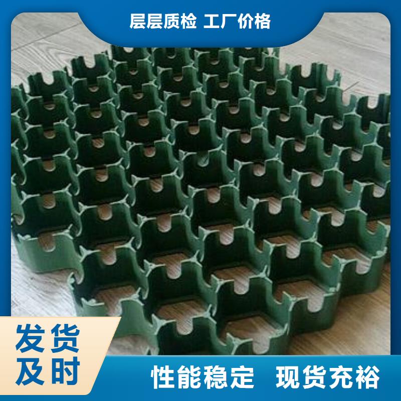 【植草格】,水泥化粪池今日价格同城生产商