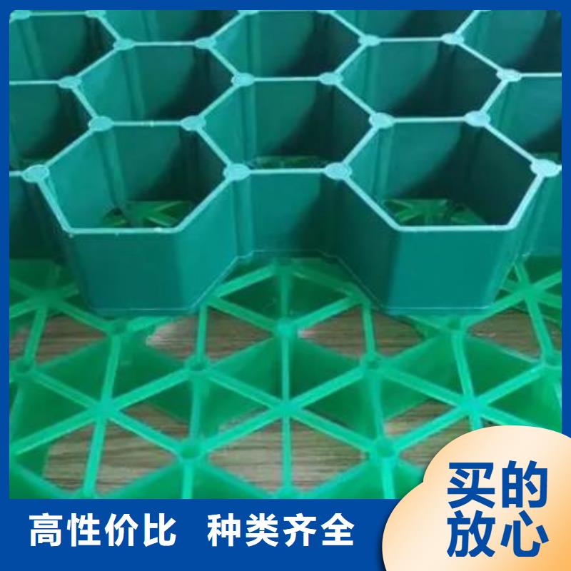 塑料植草格2025新行情价