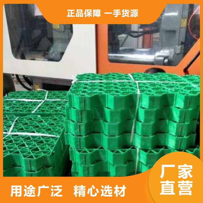 源厂直销植草格【防护虹吸排水收集系统】诚信可靠