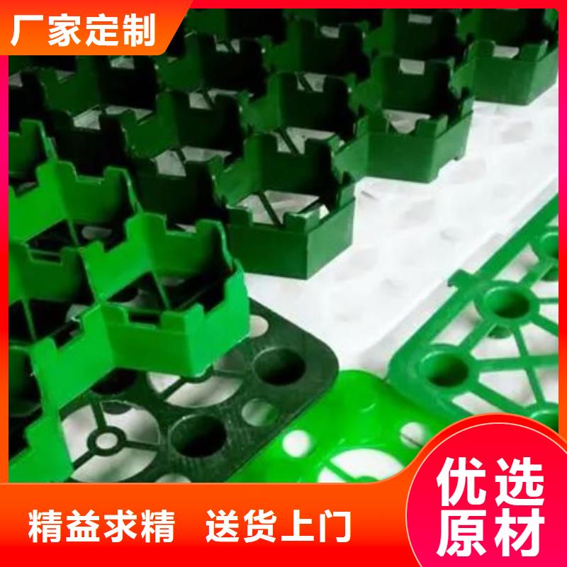 源厂直销植草格【防护虹吸排水收集系统】诚信可靠