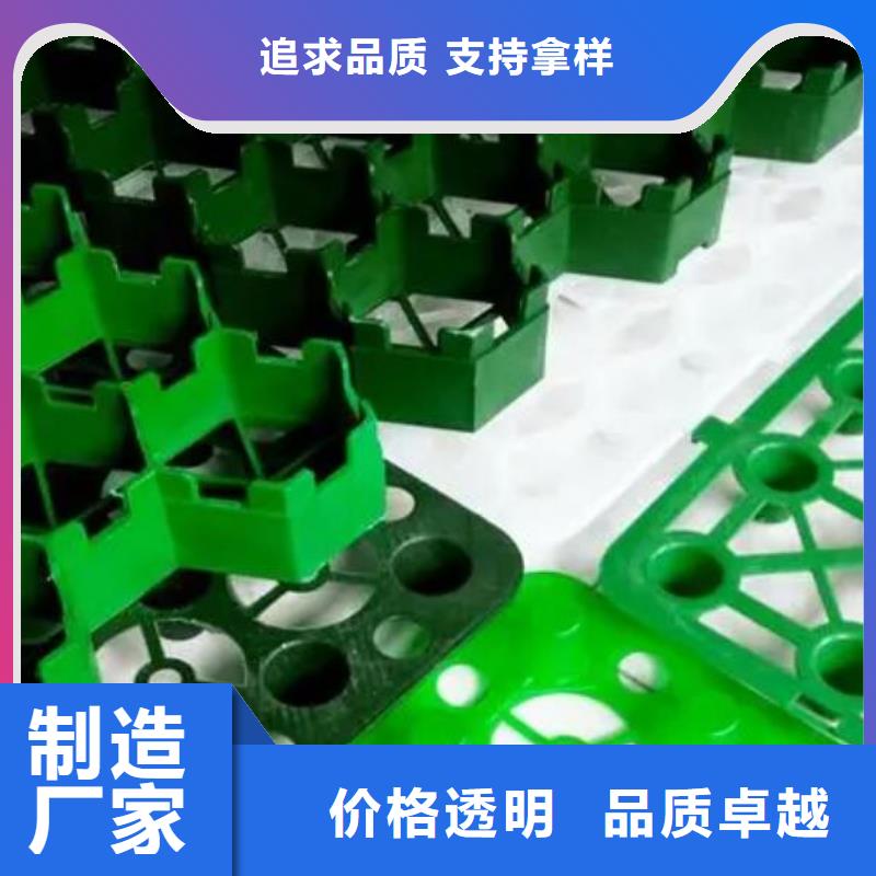植草格-防护虹吸排水收集系统您身边的厂家