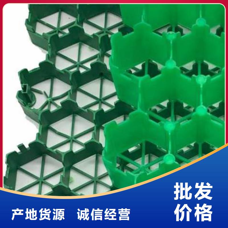 植草格植草格实力商家供货稳定