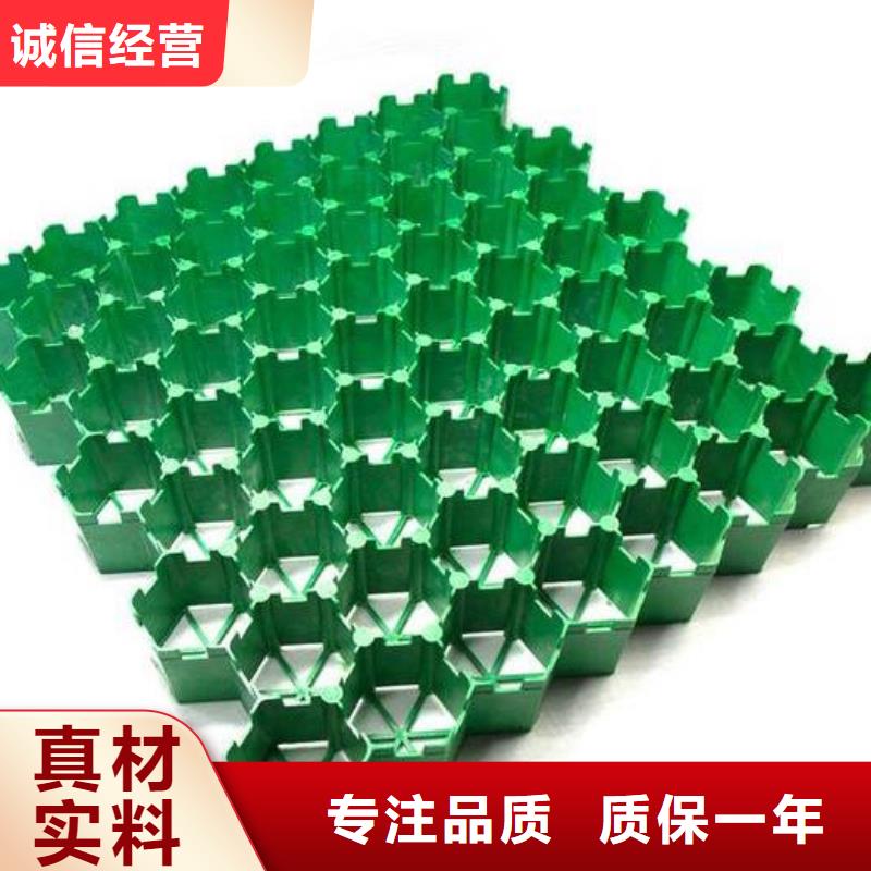 植草格植草格实力商家供货稳定