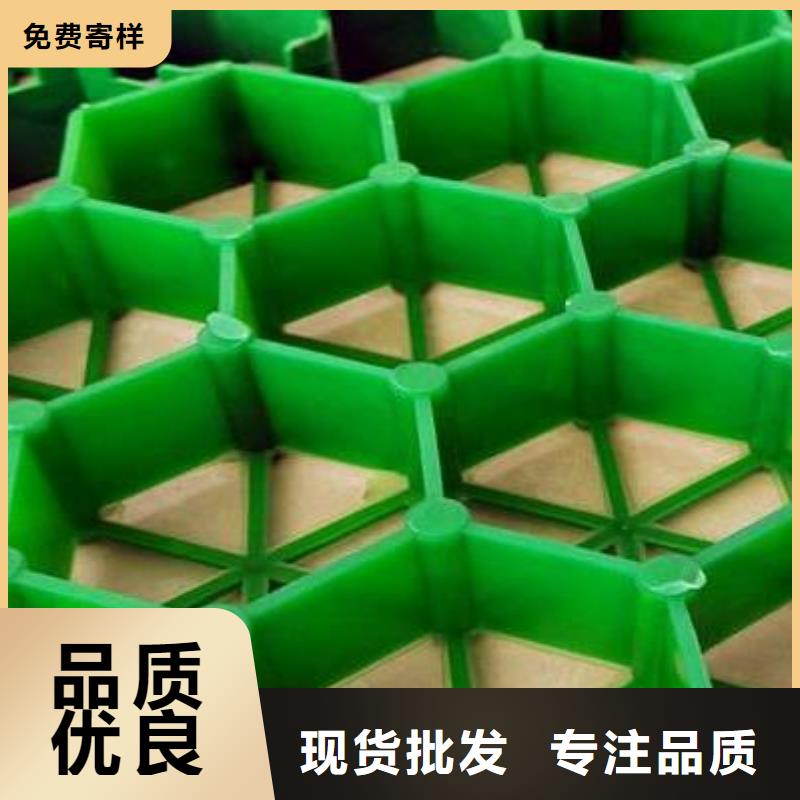 【植草格】,水泥化粪池今日价格同城生产商