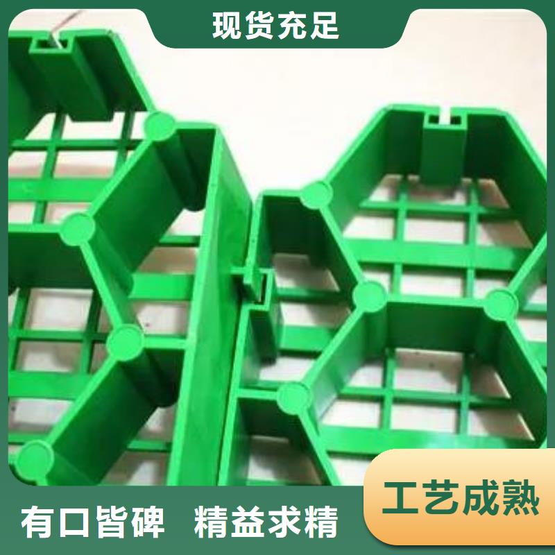 【植草格】,水泥化粪池今日价格同城生产商