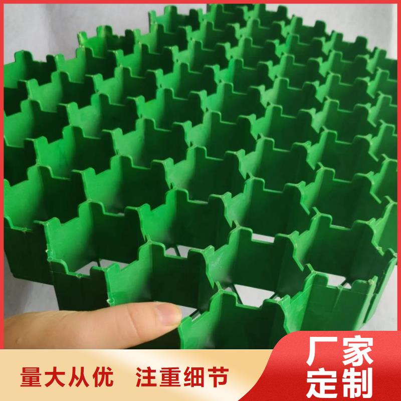 植草格厂家代理商