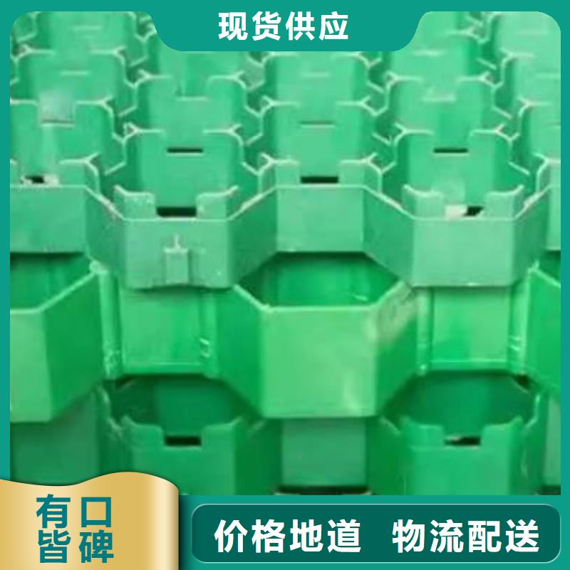 植草格植草格实力商家供货稳定