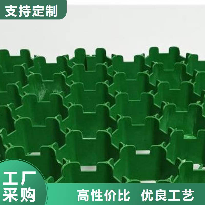 【植草格】,水泥化粪池今日价格同城生产商