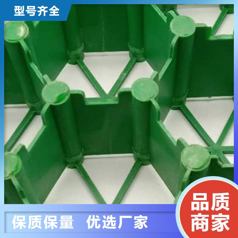 植草格【水泥化粪池】库存充足朋联