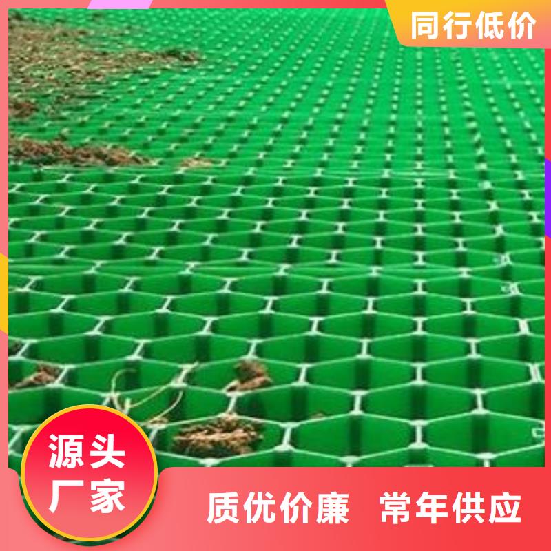 植草格厂家代理商