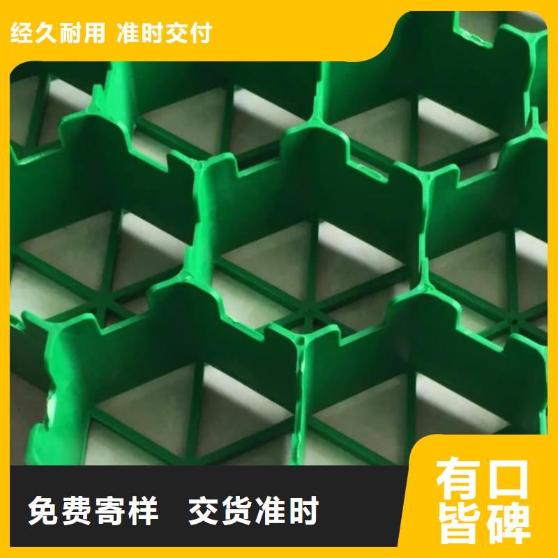 植草格-化粪池水泥商家