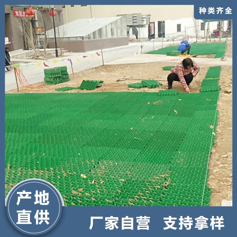 植草格-防护虹吸排水收集系统您身边的厂家