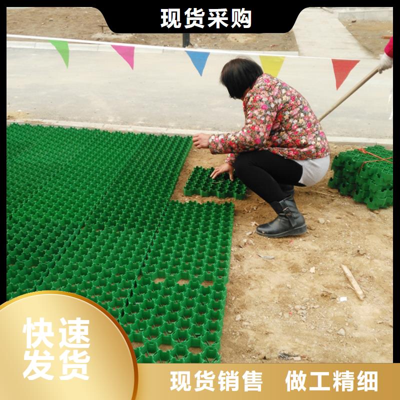 植草格-化粪池水泥商家