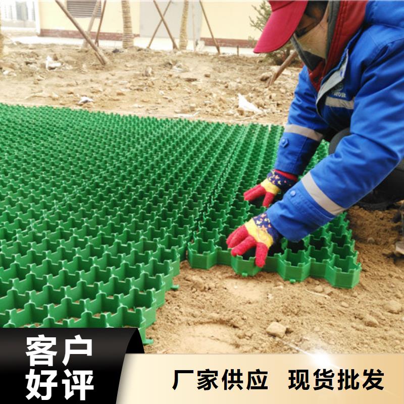 源厂直销植草格【防护虹吸排水收集系统】诚信可靠