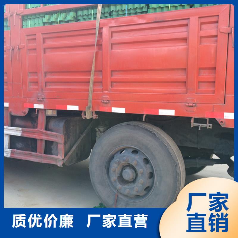植草格植草格实力商家供货稳定