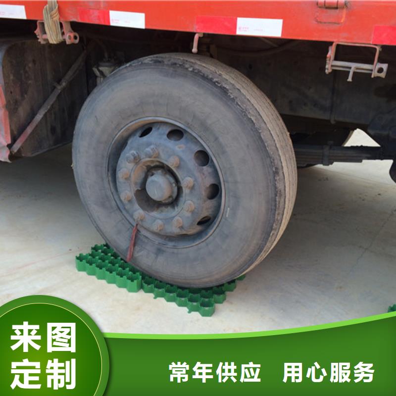塑料植草格2025新行情价
