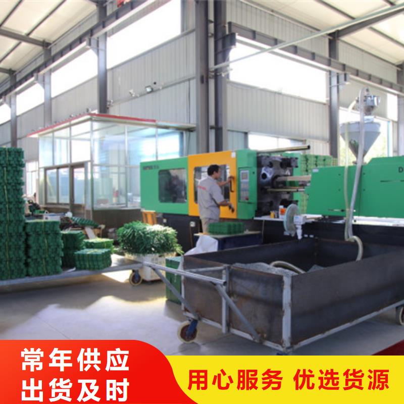 塑料植草格2025新行情价