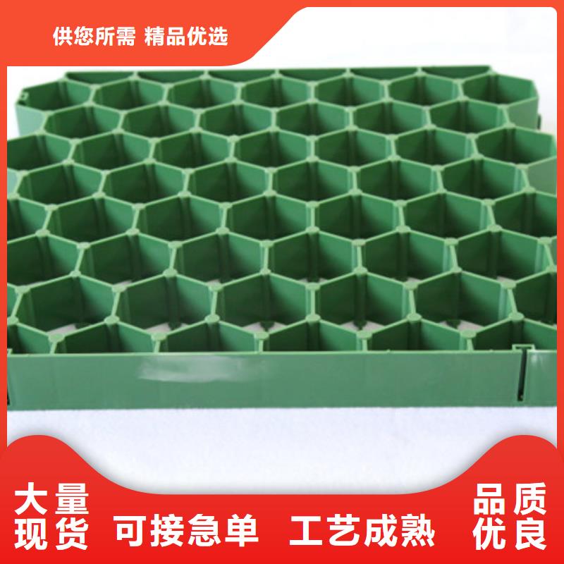 塑料植草格2025新行情价