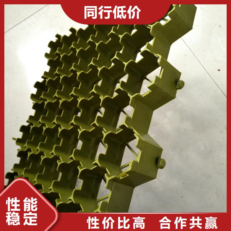 植草格植草格实力商家供货稳定